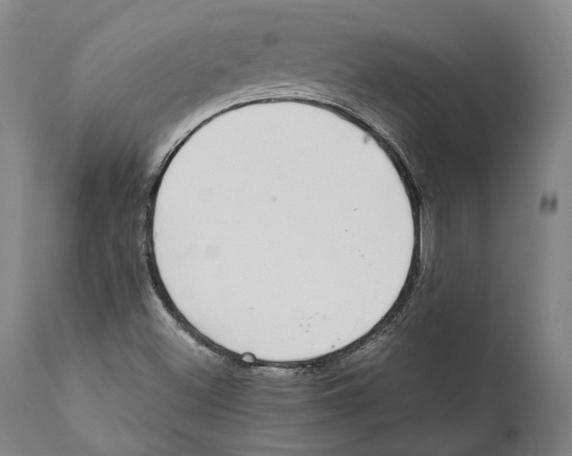 X0000111531500200908111214