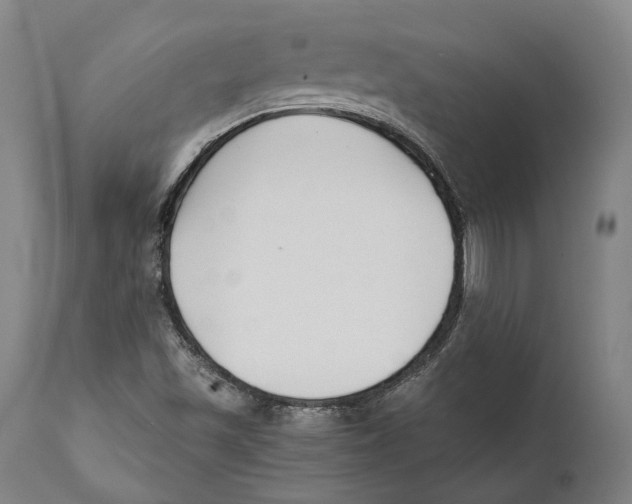 X0000111531501200908111214