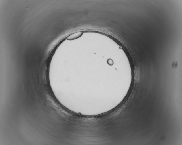 X0000111531502200908111214