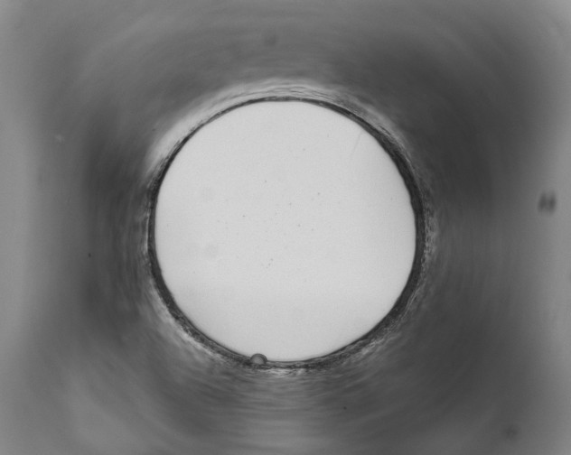 X0000111531504200908111214