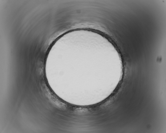 X0000111531505200908111214