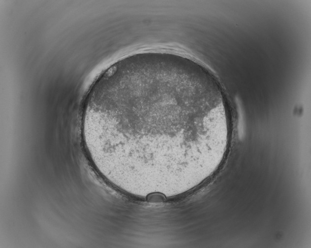 X0000111531506200908111214