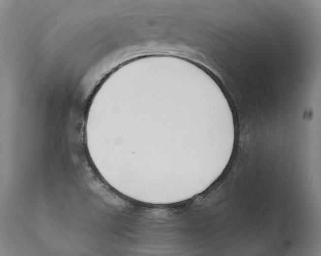 X0000111531507200908111214