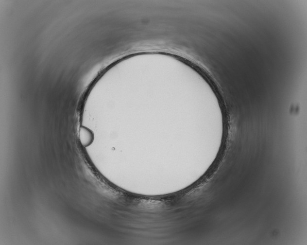 X0000111531509200908111214