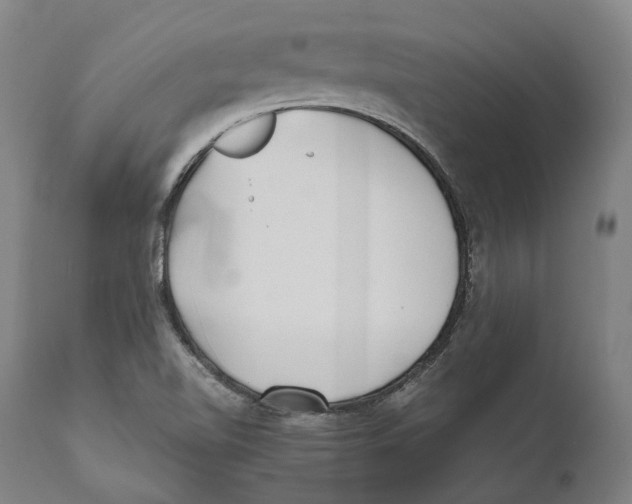 X0000111531510200908111214