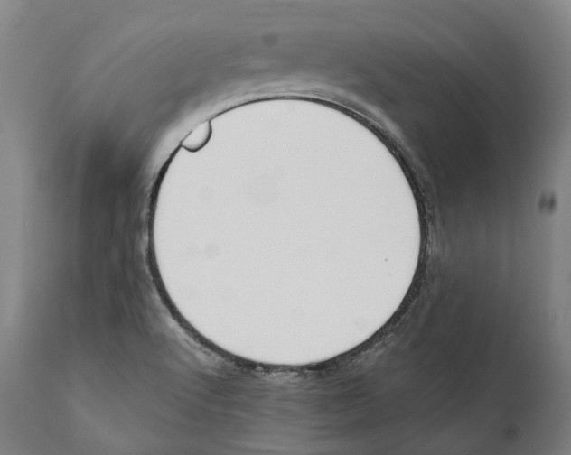 X0000111531512200908111214