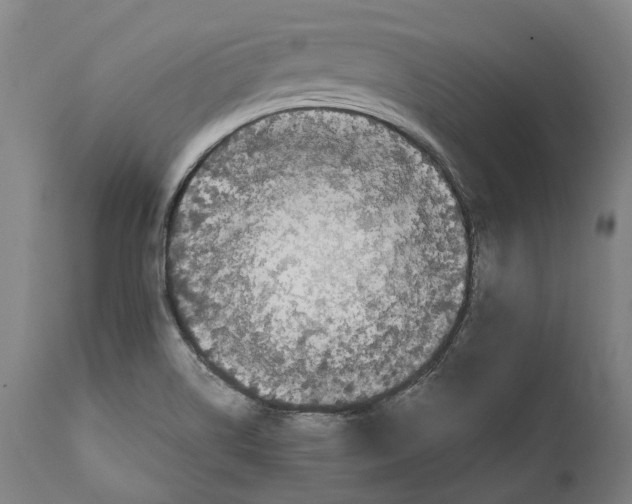 X0000111531514200908111214