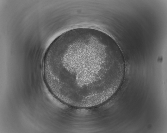 X0000111531515200908111214