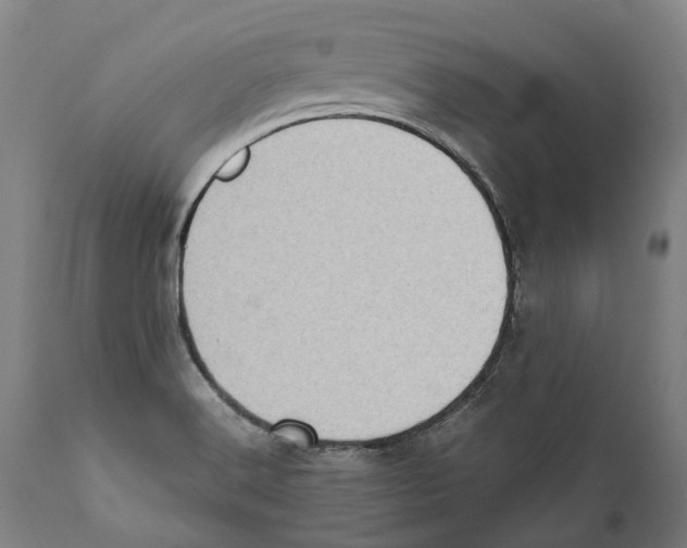 X0000111531516200908111214