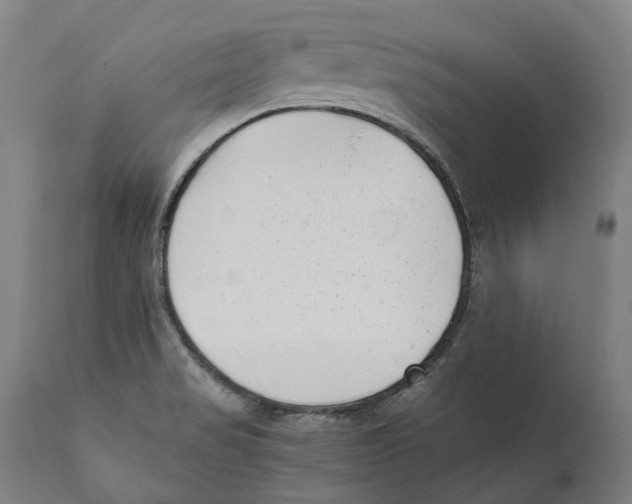 X0000111531517200908111214