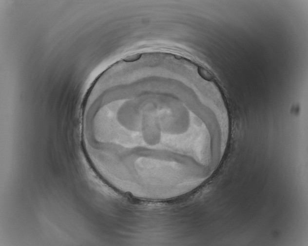 X0000111531522200908111214