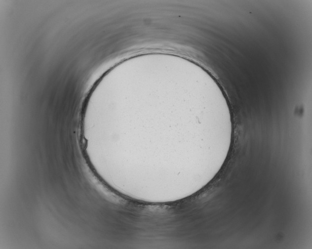 X0000111531523200908111214