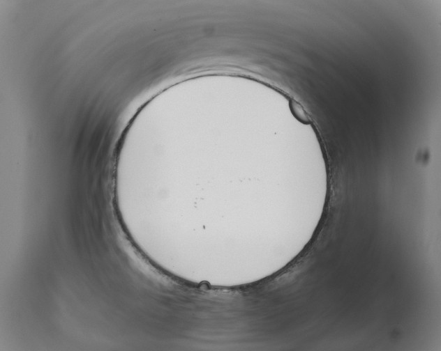 X0000111531526200908111214