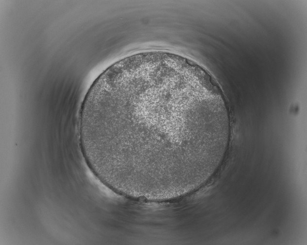 X0000111531527200908111214