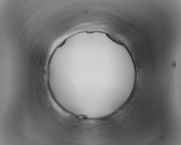 X0000111531528200908111214