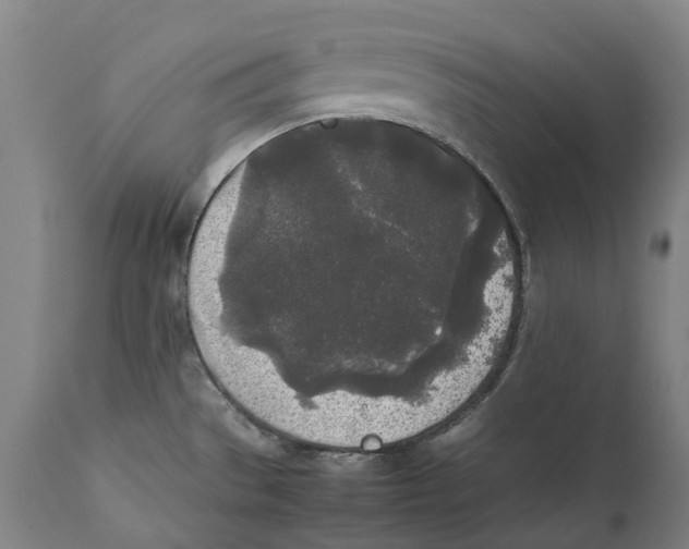 X0000111531529200908111214