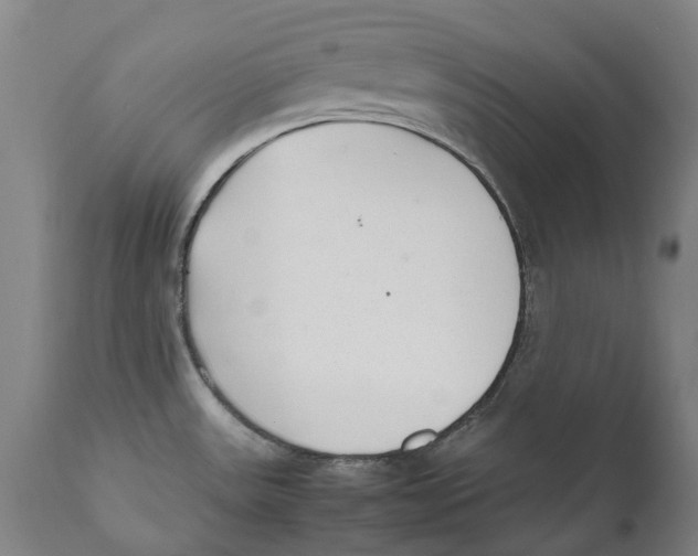 X0000111531531200908111214