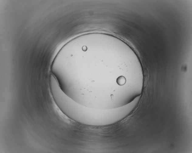 X0000111531532200908111214