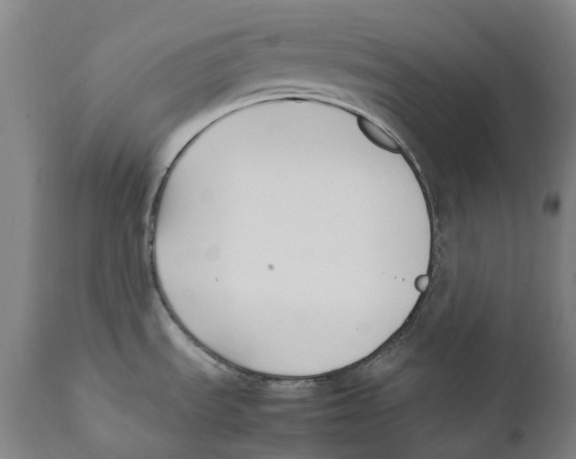 X0000111531535200908111214