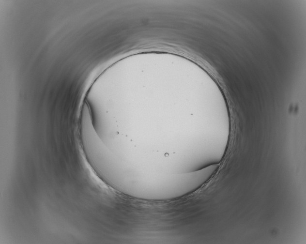 X0000111531536200908111214