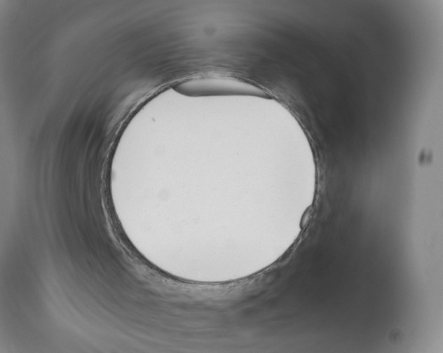 X0000111530001200908251214