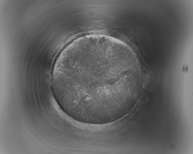 X0000111530002200908251214