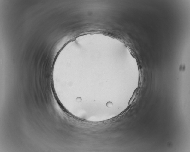 X0000111530003200908251214