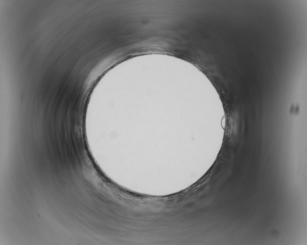 X0000111530004200908251214