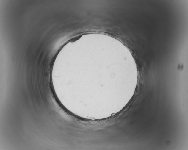 X0000111530005200908251214