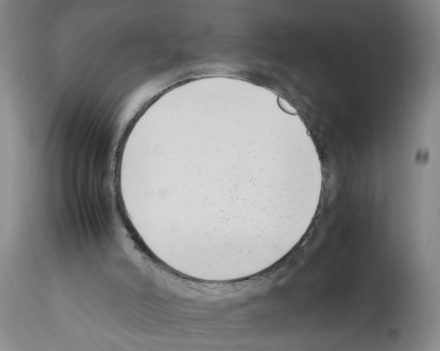 X0000111530006200908251214