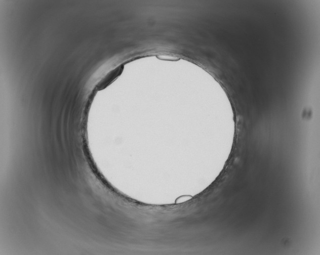 X0000111530007200908251214