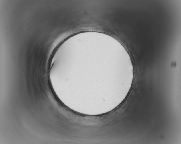 X0000111530008200908251214