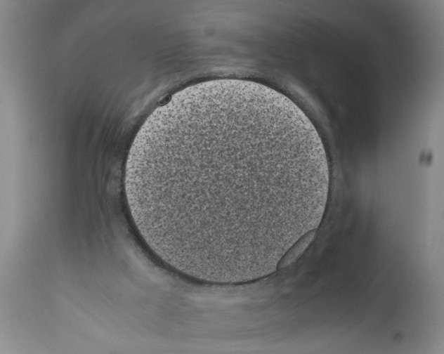 X0000111530009200908251214