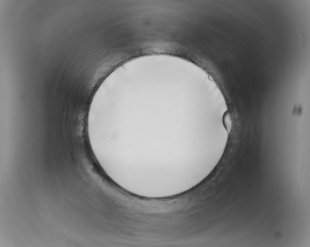 X0000111530010200908251214