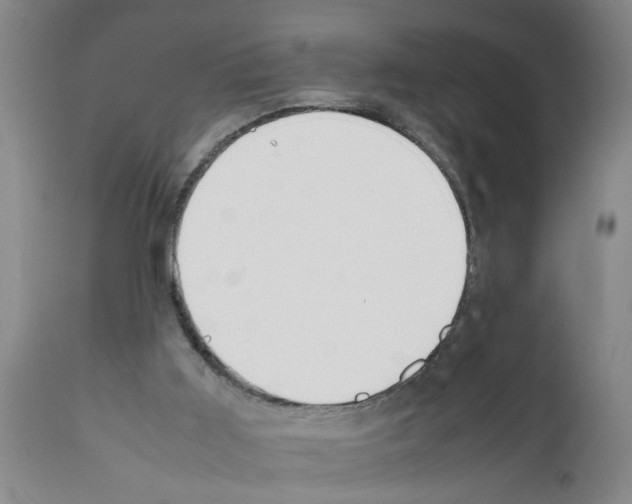 X0000111530011200908251214