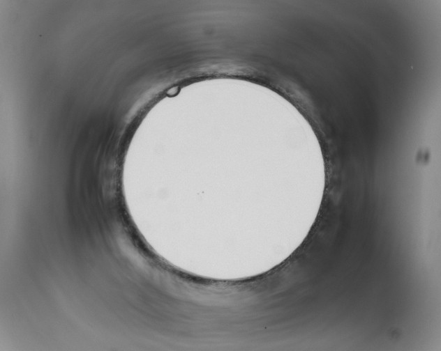 X0000111530012200908251214