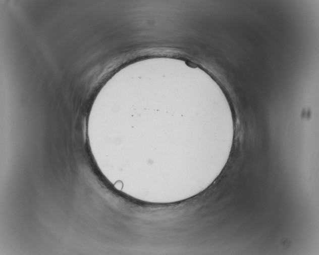 X0000111530013200908251214