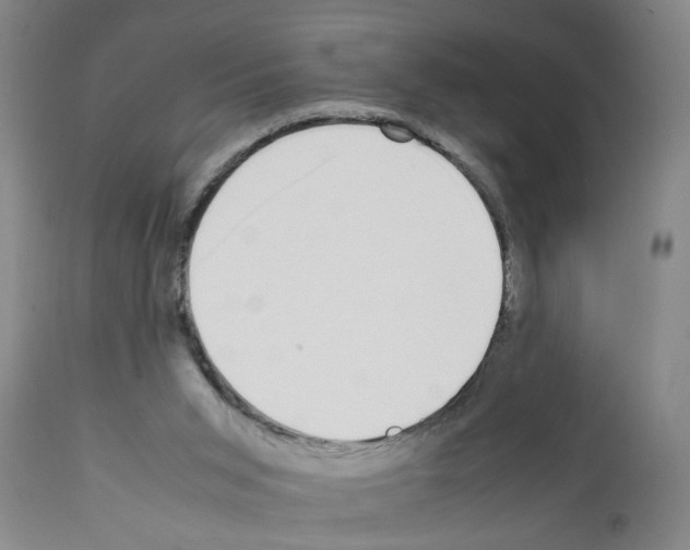 X0000111530015200908251214