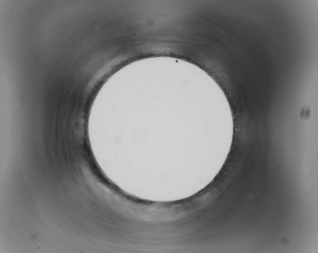 X0000111530016200908251214