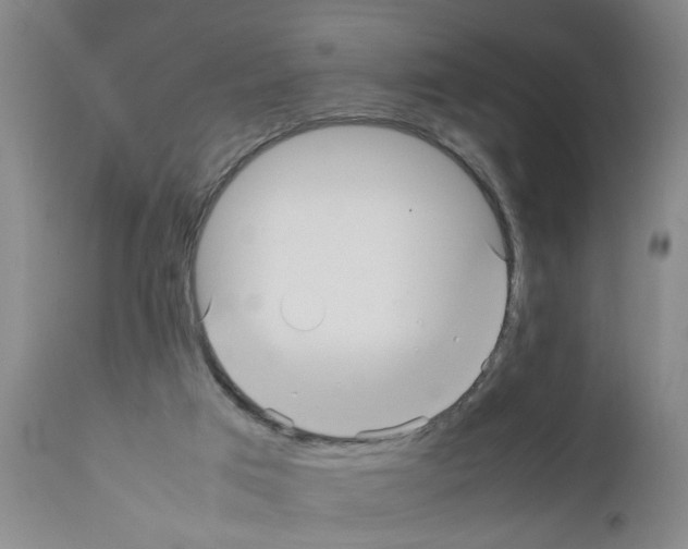 X0000111530017200908251213