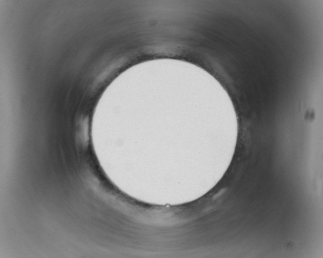 X0000111530020200908251213