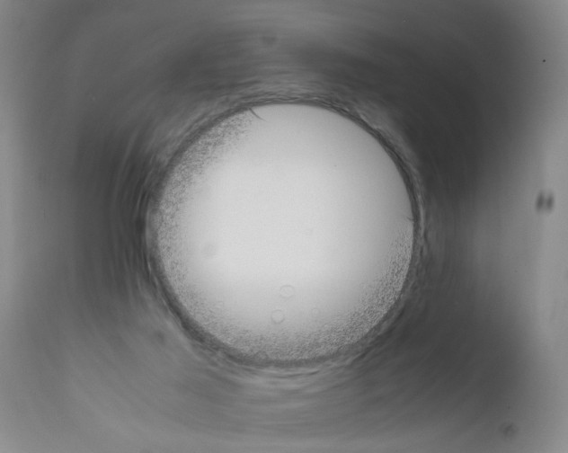 X0000111530021200908251213