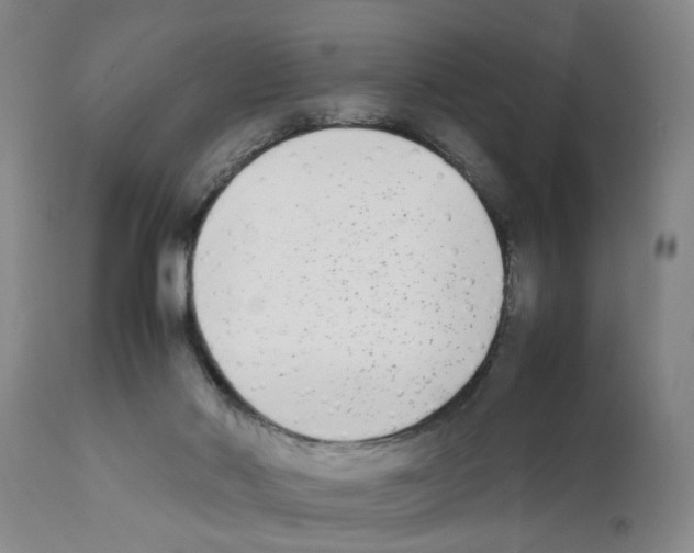 X0000111530022200908251213