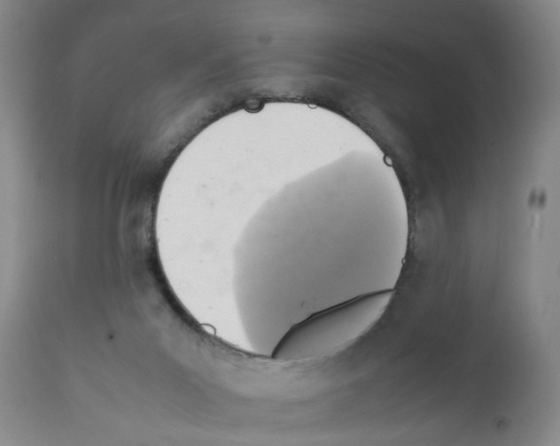 X0000111530023200908251213