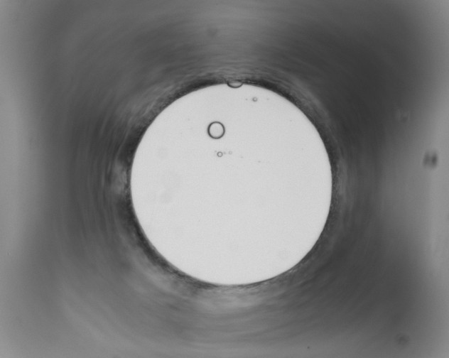 X0000111530025200908251213