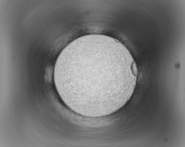 X0000111530026200908251213