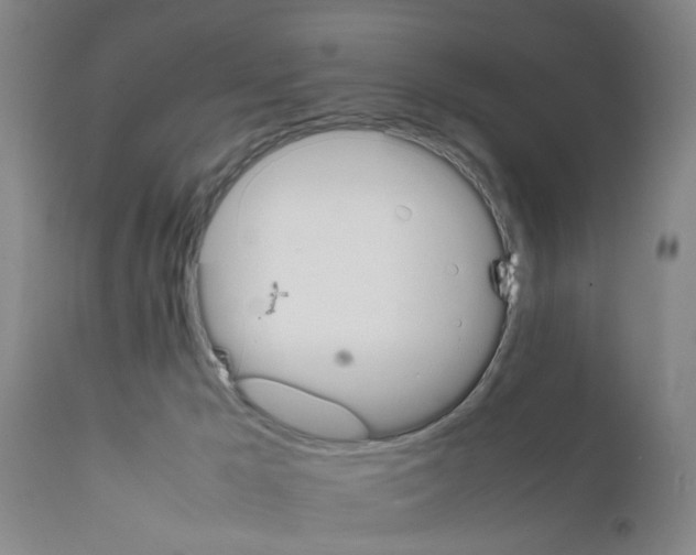 X0000111530029200908251213