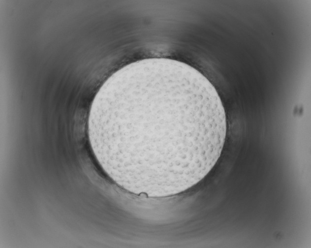 X0000111530030200908251213