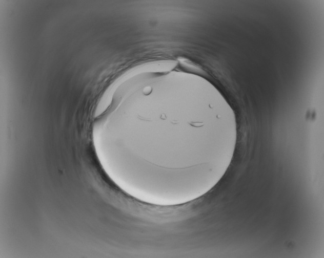 X0000111530031200908251213