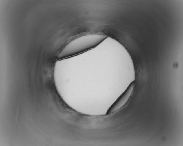 X0000111530033200908251213